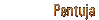 Pentuja kotia vailla?