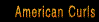 American Curl